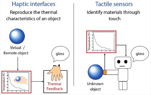 Figure 5. Two major applications for material recognition based on thermal cues. In haptic interface applications, the thermal characteristics of a virtual or a remote object can be reproduced by presenting thermal feedback generated based on the pre-recorded or predicted changes in skin temperature associated with touching the object. In tactile sensor applications, the material composition of an unknown object can be ascertained by analyzing the temperature changes of the sensory body, which are elicited by the heat transfer during the contact between the tactile sensor and the object.