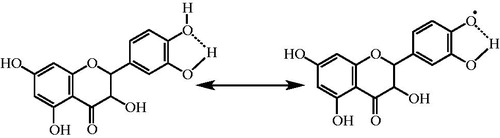 Figure 6. Stabilization of radicals by phenol group of taxifolin.