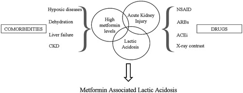 Figure 2. Triggers for metformin associated lactic acidosis.Lactic acidosis may be secondary to relatively small changes in hydration, kidney function, plasma concentrations of metformin or tissue oxygenation leading to severe lactic acidosis.