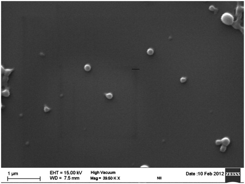 Figure 3. SEM photograph of etoposide-loaded nanoparticles.
