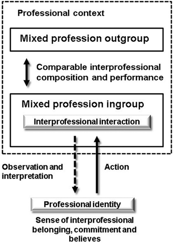 Figure 1. Towards an “extended professional identity theory”.