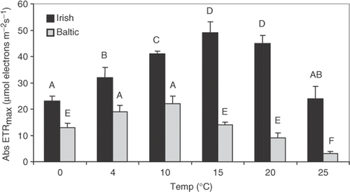 Fig. 2. Saturated photosynthetic rate (Abs ETRmax) of Fucus vesiculosus from the Gulf of Bothnia (northern Baltic, 5 psu; grey) and the Irish Sea (35 psu; black) at different temperatures. Plant tips (10 g FW each, n = 10) were cultivated in their natural seawater for 1 week at 100 µmol m−2 s−1 under a 10 : 14-h light–dark cycle. Means with the same letter are not significantly different at p = 0.05 (Tukey tests).