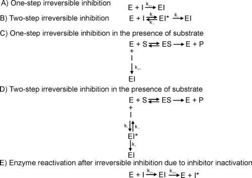 Scheme 1.  Reaction schemes for irreversible inhibition (according to Ref. Citation3).