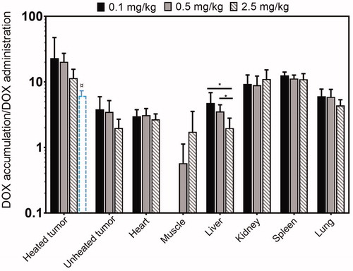 Figure 4. DOX uptake efficiency, defined as tissue doxorubicin accumulation divided by administered dose, for the three administered doses of LTLD investigated in this study. For organs with constant efficiency across all doses, accumulated DOX is proportional to injected dose. Diminishing returns at higher doses for some tissues might be related to saturation of cellular uptake. Only liver showed a significant difference in the uptake efficiency with increasing dose. Muscle showed an increase in efficiency; however the absolute DOX levels were close to the LOQ at low doses, so this might not be an accurate trend. *p ≤ 0.05. The data labeled with ¤ was from a previous study using a similar Vx2 tumor model that was treated with LTLD (5 mg/kg) plus MR-HIFU hyperthermia (30 min in three heating and cooling cycles) [Citation11].