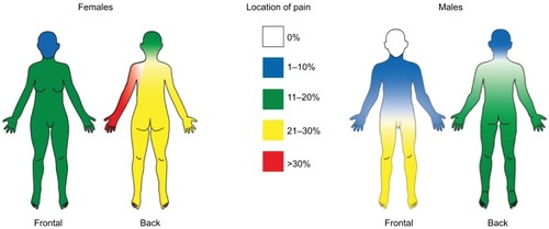 Figure 4 Visualization of chronic pain localization for males and females.