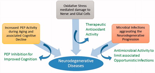 Figure 1. Factors involved in the initiation and progression of neurodegenerative diseases.