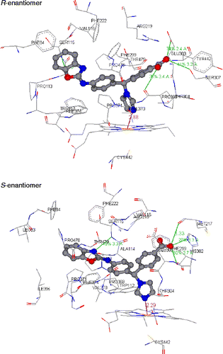 Figure 3.  Diagram showing both enantiomers R and S of 4-{[4-(benzoxazol-2-ylamino)phenyl]imidazol-1-yl-methyl}benzoic acid docked at the active site region of the CYP26A1 model. Hydrogen bonding interactions are shown as green lines and co-ordination with the transition metal is indicated with a purple line. Colour coding of the atoms: grey = C, red = O, blue = N, brown = Fe and yellow = S. Amino-acid residues identified are involved in hydrophobic interactions.