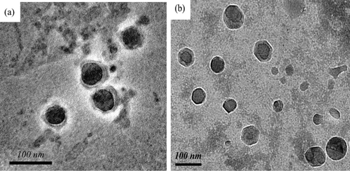 Figure 5.  TEM image of drug-loaded micelles obtained from PLAM(a) and FOL-PLAM(b).