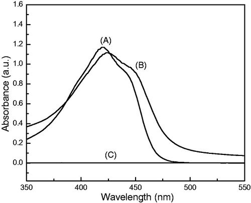 Figure 2. UV-vis absorbance spectra of cucumin. (A) Free curcumin in acetone at 6 μg/mL, (B) Curc-NS in water at 15 μg/mL, (C) Control-NS in acetone at 1 mg/mL.