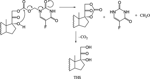Figure 7 Formation of a 17:20:21 cyclic intermediate via intramolecular cyclization.