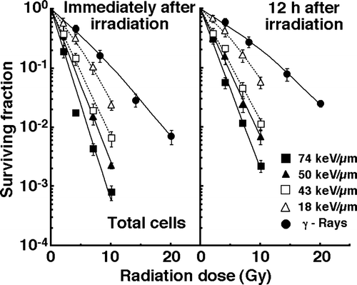Figure 1.  Cell-survival curves for total tumor cell populations as a function of radiation dose immediately after irradiation and 12 hours after irradiation are shown in the left and right panel, respectively. Open triangles, open squares, solid triangles, and solid squares represent the surviving fractions after irradiation with carbon ion beams having an LET of 18, 43, 50, and 74 keV/µm, respectively. Solid circles represent the surviving fractions after γ-ray irradiation. Bars represent standard errors.