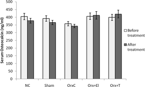 Figure 2.  Mean serum osteocalcin levels of all the group before and after treatment. Data presented as mean ± SD (p < 0.01). NC: normal control group; Sham: sham-operated; OrxC: orchidectomised-control; Orx + El: orchidectomised and supplemented with EL; Orx + T: orchidectomised and given testosterone replacement.