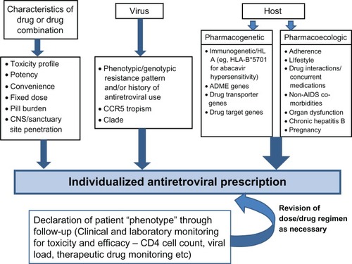 Figure 2 Individualized antiretroviral prescription.