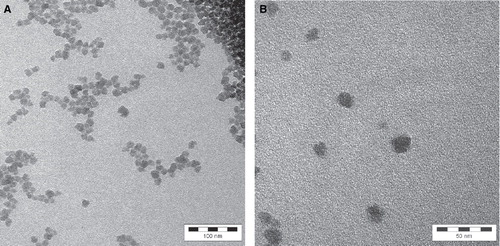 Figure 3. Analysis of size, shape and aggregation state of SAS particles in the raw material by transmission electron microscopy. A. Besides single particles, the state of aggregation and agglomerate on can be seen with lower resolution (1:250,000). The whole bar is 100 nm and one segment of it is 20 nm. B. With higher resolution, the size of the individual particles becomes more visible (1:560,000). The whole bar is 50 nm and one segment of it is 10 nm.