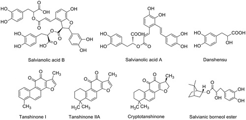 Figure 1. Chemical structures of natural and synthetic compounds derived from Salvia miltiorrhiza.