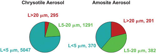 Figure 3.  The mean number of fibers in the exposure atmospheres in each of the three length categories < 5 µm, 5–20 µm and > 20 µm are illustrated for the chrysotile and amosite aerosols.
