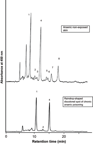 Fig. 1.  HPLC profile of the carotenoids in skin biopsies of arsenic non-exposed and raindrop-shaped discolored spots of chronic arsenic poisoning. Peak 1: all-E lutein (retention time- 10.9 min); peak 2: 13-Z zeaxanthin (13.3 min); peak 3: all-E zeaxanthin (13.9 min); peak 4: 3′-epilutein (15.5 min); peak 5: 9-Z lutein (18.0 min); peak 6: 9′-Z lutein (18.7 min); peak 7: 2′,3′-anhydrolutein (19.5 min); and peak 8: cryptoxanthin (22.4 min).