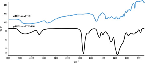 Figure 5. FTIR spectra of p(HEMA)-APTES and p(HEMA)-APTES-PBA nanoparticles.