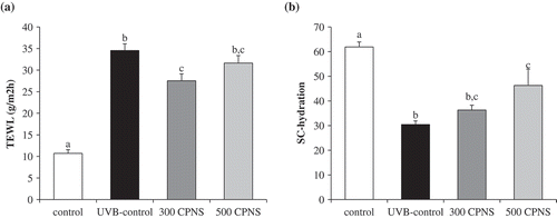 Figure 6. Effect of CPNS supplementation on UVB-induced skin barrier disturbance. The dorsal skin surface of hairless mice was exposed to UVB three times a week for 12 weeks, and the mice were supplemented with saline or CPNS. At the end of the experiment, (a) TEWL and (b) SC hydration were measured by using a Vapometer® and MoistureMeterSC®, respectively.