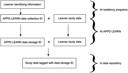 Figure 2. The APPD LEARN de-identification process. Residency programs collect data on (identified) learners. Programs generate permanent non-reversible APPD LEARN data collection IDs for their learners and transmit study data, tagged by data collection ID, to APPD LEARN. APPD LEARN re-encrypts the data collection ID to a data storage ID, and archives study data, tagged by data storage ID, in the data repository.