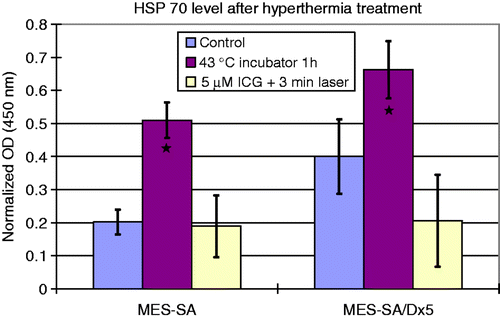 Figure 6. Hsp70 expression after different types of hyperthermia treatment (n = 3). Data were normalised as described above. ★Significantly higher cellular Hsp70 level among the three groups by ANOVA test with Bonferroni post-hoc correction.