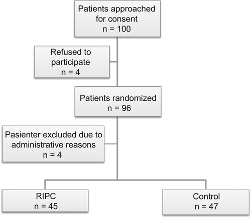 Figure 1. Trial profile. RIPC, remote ischemic preconditioning.