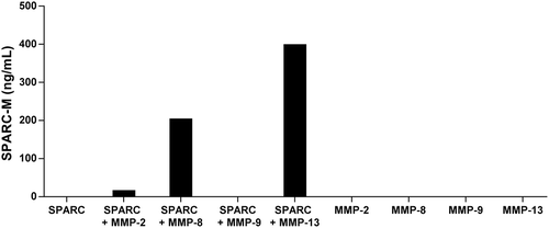 Figure 3. Cleavage of SPARC by MMP-8 and MMP-13.SPARC was incubated with different MMP’s and SPARC-M levels were measured after 24 hours. Data were normalized by subtracting the background measured in buffer alone. The graph below is representative of two experiments.