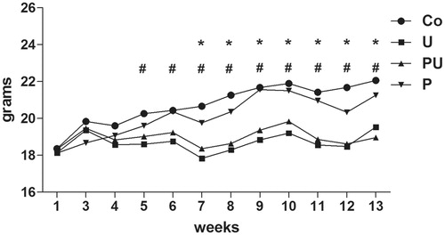 Figure 2. Body weight gain of mice treated with P. aquilinum (P) (30 g/kg/day) by gavage once daily for 14 days, followed by gavage 5 dys/week during an 11-week period that was accompanied by treatment with urethane (U) (1 g/kg) via once-weekly IP injection. #p < 0.001 versus Co group, *p < 0.001 versus P group, Bonferroni’s post-hoc test. n = 5 mice/group.
