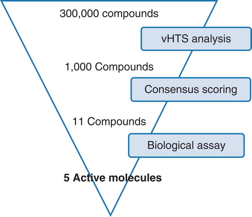 Figure 4. vHTS screening cascade. Starting from a commercially available compound library of 300,000 compounds, initial vHTS identified 1000 compounds which were evaluated further using consensus scoring and also a knowledge of compound solubility. A total of 11 compounds were purchased from Maybridge and evaluated for activity against the LeuT. This Figure is reproduced in colour in Molecular Membrane Biology online.