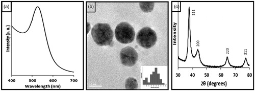 Figure 1. (a) UV–Visible spectra of pectin-reduced gold nanoparticles. (b) HRTEM images recorded of as synthesized pectin-reduced gold nanoparticles. (c) XRD patterns of as synthesized gold nanoparticles.