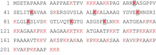 Figure 2. Amino acid sequence and phosphorylated sites of bovine histone H1.2 as determined by mass spectrometry. Lysine residues are marked red, and those identified as targets for the phosphorylation by phosphoramidate (i.e. seven residues) are highlighted. Out of the 305 peptides that were used to identify the protein, 14 peptides were reported to contain phospholysine.