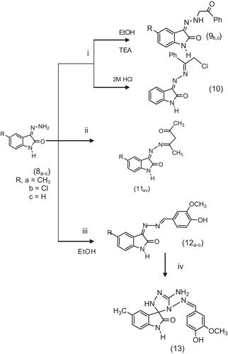 Scheme 3.  Synthetic pathway for target compounds 9b,c, 10, 11a–c, 12a,b and 13. (i) Phenacyl chloride, (ii) acetylacetone, (iii) 4-hydroxy-3-methoxybenzaldehyde (vanillin) and (iv) thiosemicarbazide.