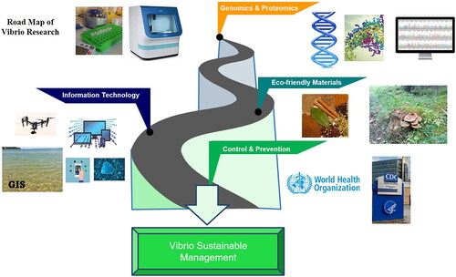Figure 7. A roadmap of Vibrio research highlighting the global development and potential of advanced cutting-edge technologies and their integration into the development of the Vibrios management system.