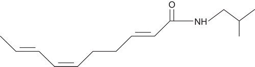 Figure 1.  Structural formula of affinin (C14H23NO).