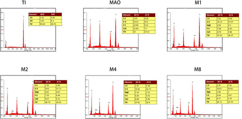 Figure 3 EDS and elemental analysis of the six sample.