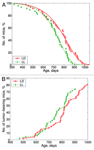 Figure 2. Effect of the exposure to the constant illumination (LL) on survival and tumorigenesis in female 129/Sv mice. Abscissa, age, days. (A) Survival. Ordinate, number of mice, %. (B) Age-dependent tumor rate curves. Ordinate, number of tumor-bearing mice, %.