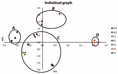 Figure 5. PCA individual graph of bud-preparation samples.