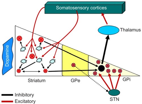 Figure 1 The pathophysiological basis of sensory disturbances in PD, the so-called “pain matrix” with information from different loci, processed in the BG.