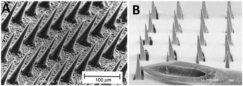 Figure 4. SEM images of various microneedles: (A) solid conical shaped microneedle (Henry et al., Citation1998), (B) solid microneedle next to a 27-gauge syringe (Martanto et al., Citation2004).