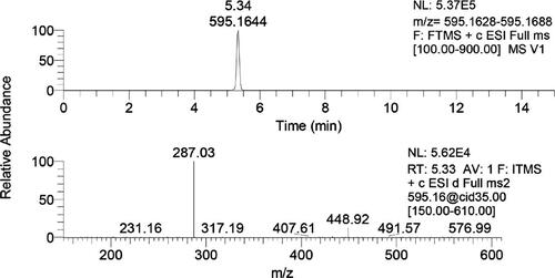 Figure 39. Extracted ion chromatograms and MS/MS spectra of cyanidin-3-rutinoside (Pantelić et al., Citation2014).