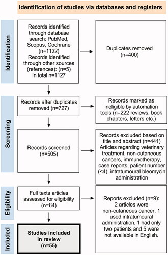 Figure 1. PRISMA flowchart depicting the search and screening process.