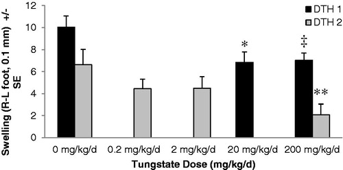 Figure 7. Tungstate-dependent immune suppression in a delayed-type hypersensitivity model. Mice were exposed to tungstate in their drinking water for 28 days prior to the initiation of primary and secondary immune responses with NP-O-Su. The left footpad received saline injection, and the right footpad immunogen. Twenty-four hours after secondary challenge, footpad thickness was measured using dial gauges. The difference between left and right footpad thickness for each mouse was calculated and plotted; each bar represents the mean ± SE of eight mice. DTH1 and DTH2 represent separate DTH experiments with only the control and 200 mg/kg/day doses being in common between the mice. *p < 0.017 versus control (DTH1), ‡p < 0.013 versus control (DTH1), **p < 0.029 versus control (DTH2).