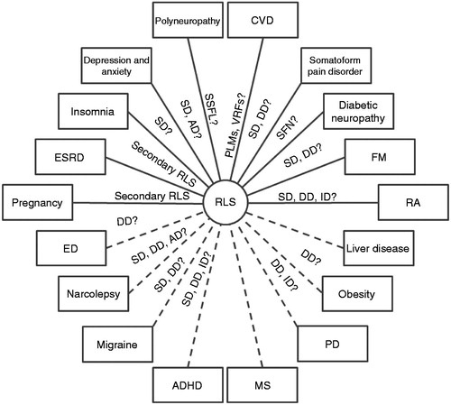 Figure 1. Possible associations between RLS and comorbidities. Dotted lines indicate comorbidities for which the evidence for the association comes from epidemiologic studies. AD = use of antidepressants; ADHD = attention-deficit hyperactivity disorder; CVD = cardiovascular disease; DD = dopaminergic dysfunction; ED = erectile dysfunction; ESRD = end-stage renal disease; FM = fibromyalgia; ID = iron deficiency; MS = multiple sclerosis; PD = Parkinson’s disease; PLMs = periodic limb movements; RA = rheumatoid arthritis; RLS = restless legs syndrome; SD = sleep disruption; SFN = small fiber neuropathy; SSFL = small sensory fiber loss; VRFs = vascular risk factors.