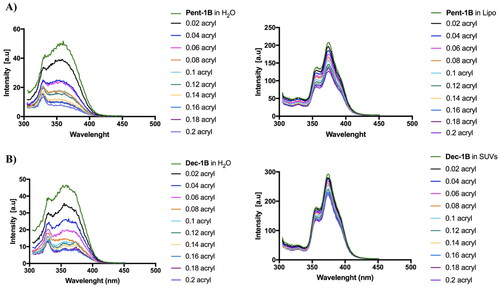 Figure 4. Tryptophan fluorescence spectra for the peptides Pent-1B (panel A) and Dec-1B (panel B) recorded in water (on the left) and in LUVs composed of PE/PC/PI/Ergosterol (5:4:1:2, w/w/w/w) (on the right).