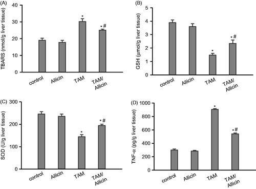 Figure 1. Effect of oral administration of allicin on (A) lipid peroxides formation expressed as TBARS, (B) GSH, (C) SOD, and (D) TNF-α of TAM-intoxicated rat liver homogenate. Data are expressed as mean ± SEM, n = 6. p < 0.05 compared with the control group (*) and compared with the TAM-treated group (#). A one-way ANOVA followed by Tukey–Kramer’s multiple comparisons post hoc test were used.