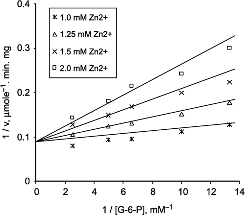 Figure 2 Lineweaver-Burk double reciprocal plot of initial velocity against G-6-P as varied substrate and Zn 2+(1.0–2.0 mM) as inhibitor at different fixed NADP+(0.1 mM).