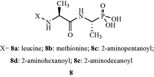 Figure 7. Derivatives of alafosfalin 8a–e as Alr inhibitors.
