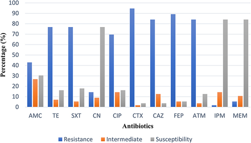 Figure 5 Antibiograms of ESBL-EC Animal isolates.