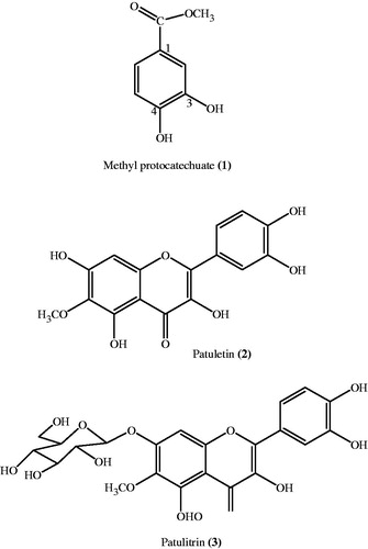 Figure 2. Chemical structure of pure compounds of T. patula flower.