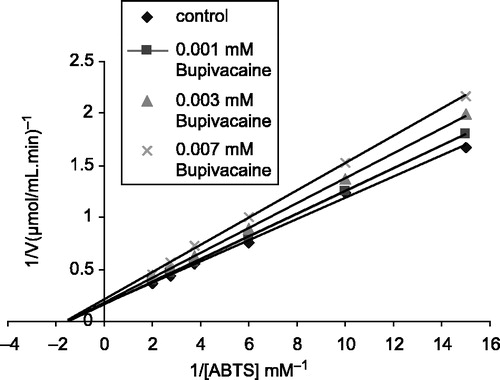 Figure 4 Lineweaver-Burk graph for 6 different substrate (ABTS) concentration and 3 different Bupivacaine concentrations for determination of Ki constant.